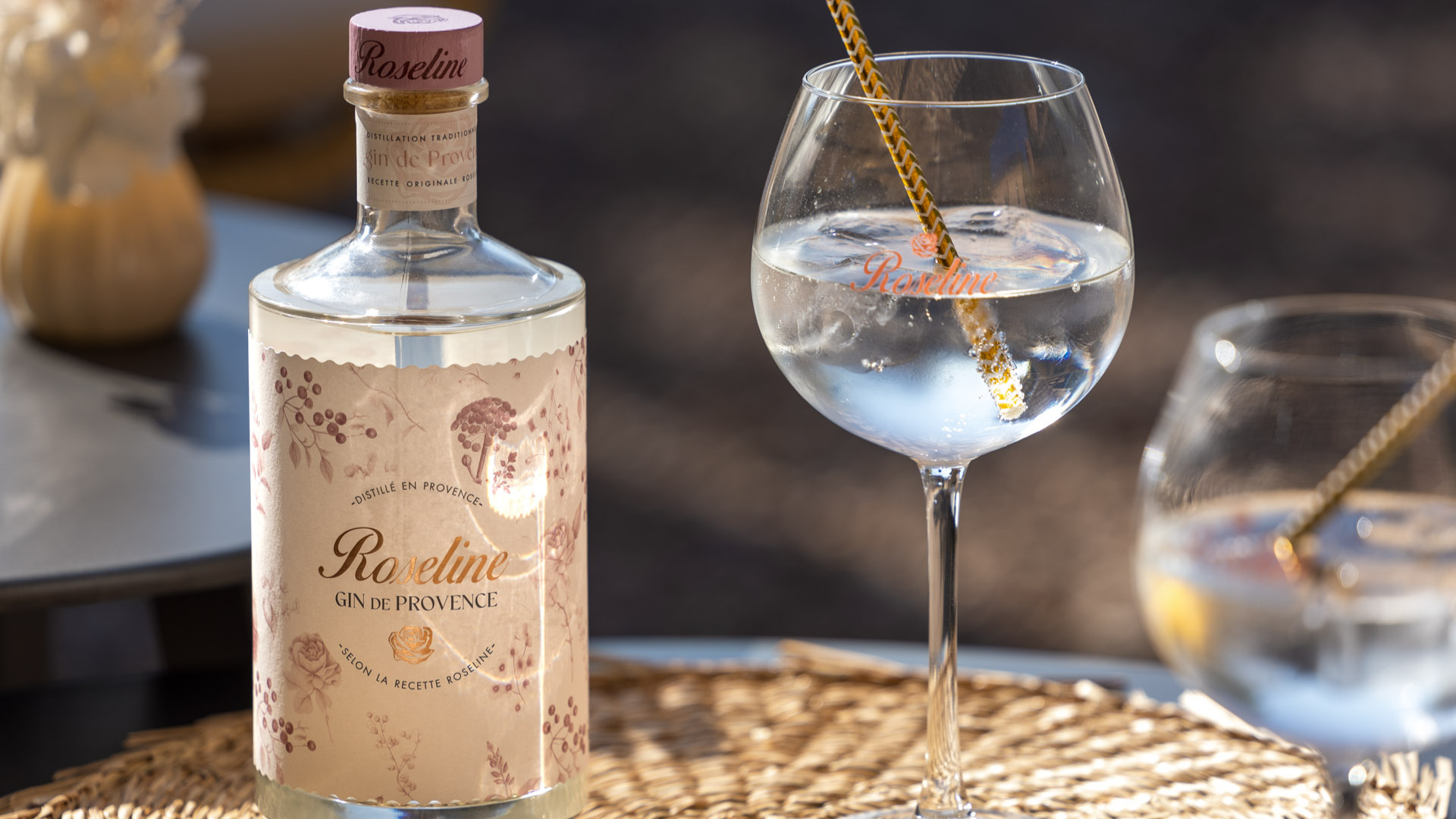 Gin de Roseline couverture